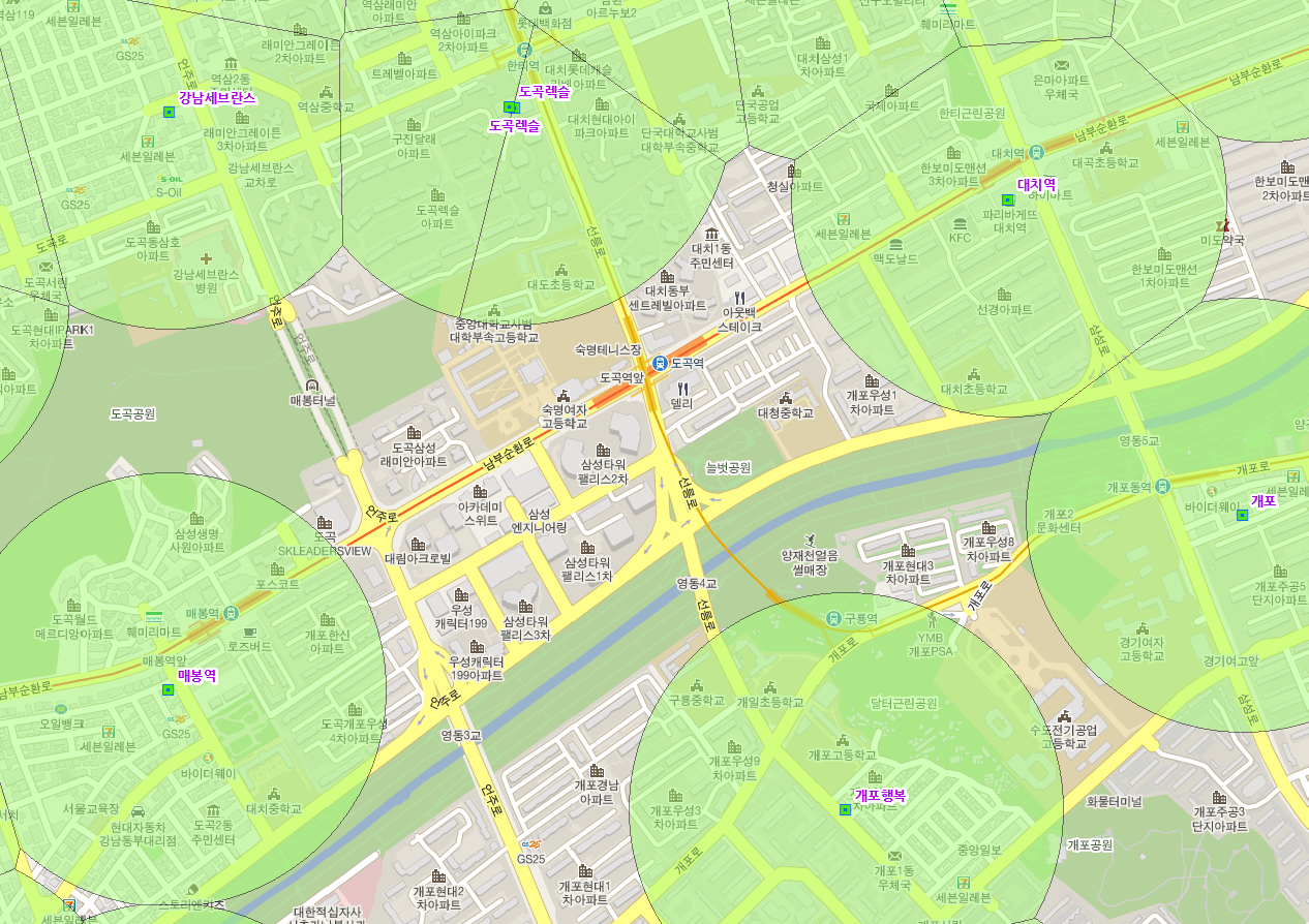 도곡역 주변