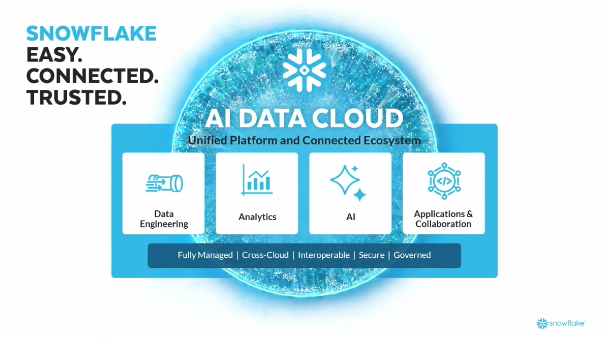 2025 스노우플레이크 월드 투어 서울 행사 후기